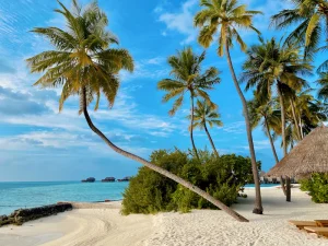 Seychelles vs Mauritius vs Comoros: Indian Ocean Offshore Jurisdictions Compared